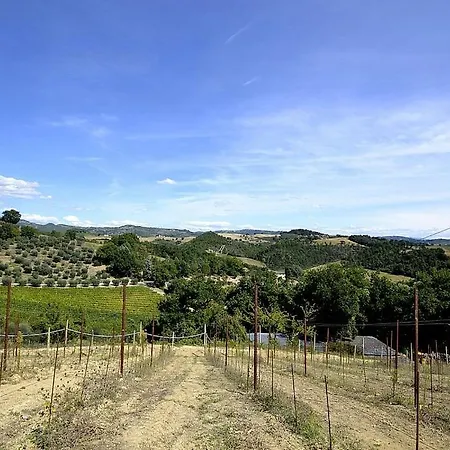 Lejlighed Osteria Di Ramazzano Sleeps 6 Pool Air Con *